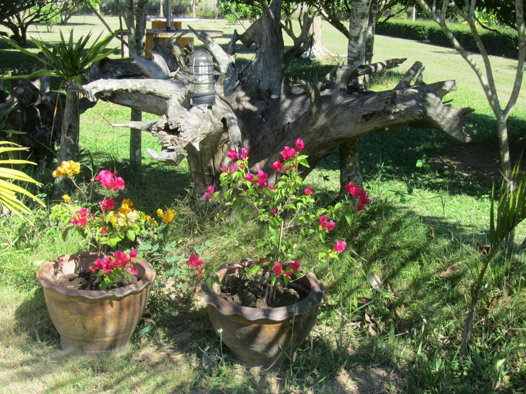 Orange Grove Resort Пай Екстер'єр фото